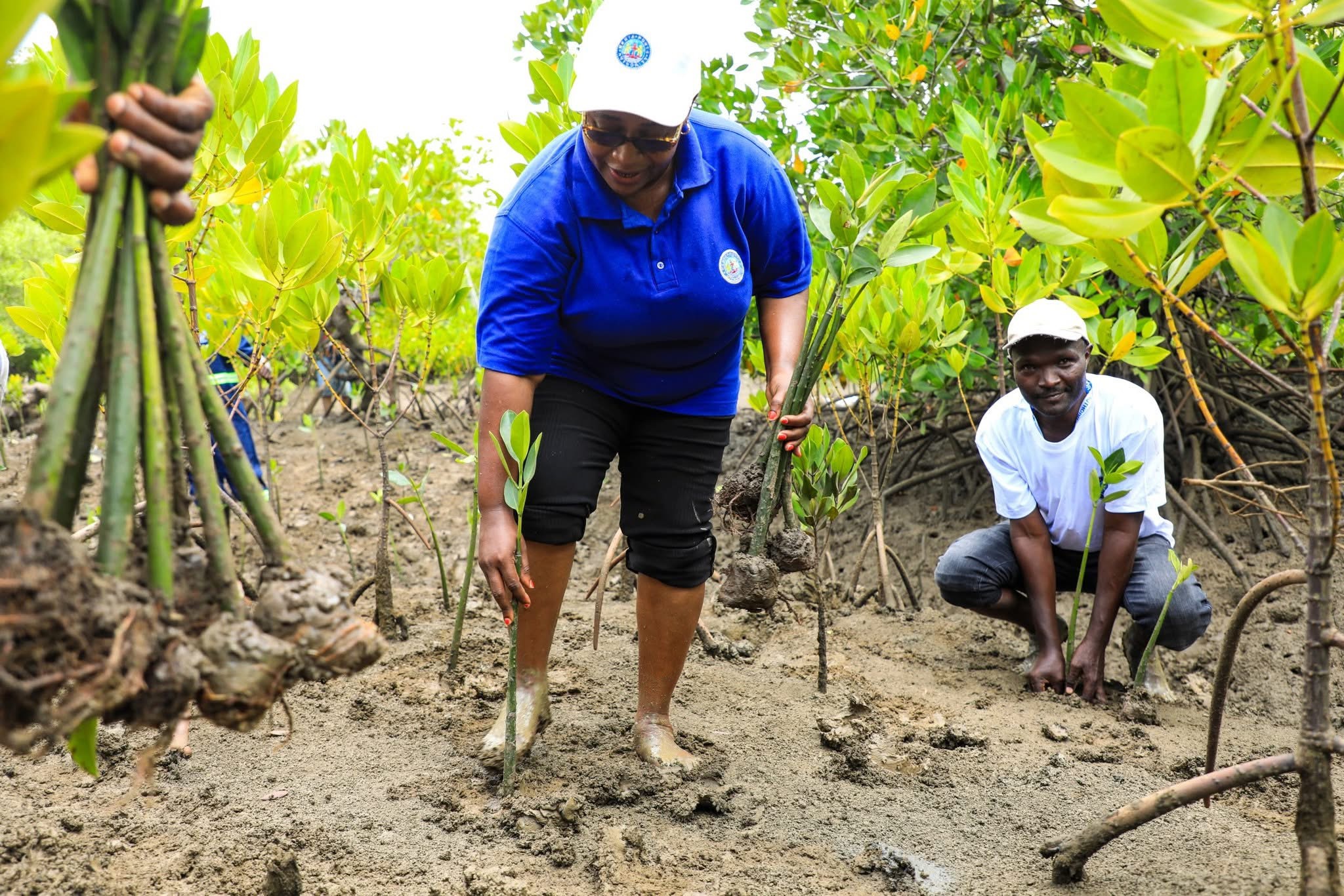 Environmental Conservation